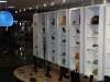 shoe-shop-interior
